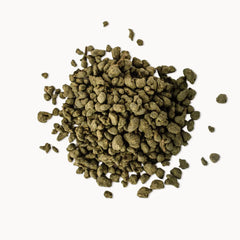 Ginseng