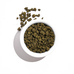 Ginseng