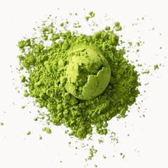 Japońska Organiczna Matcha Codzienna