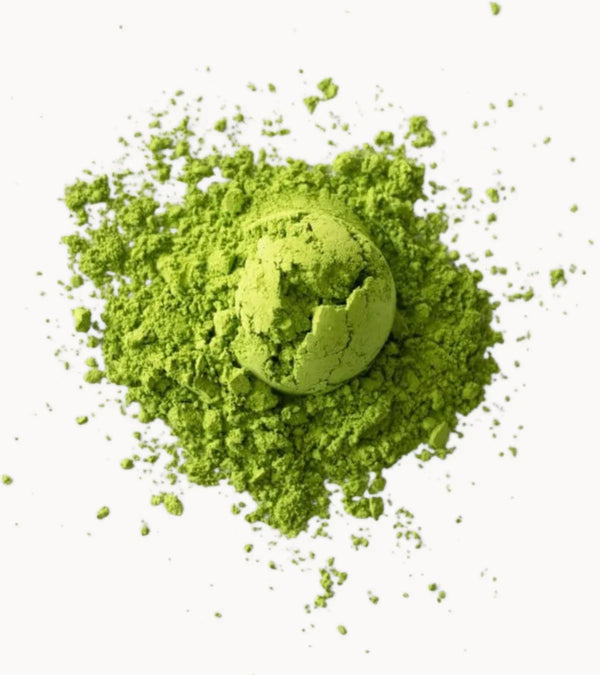 Japońska Organiczna Matcha Codzienna