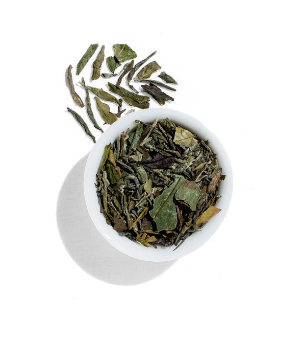 Pai Mu Tan