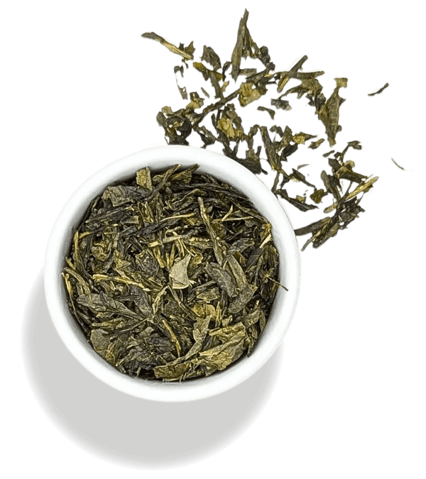 Sencha