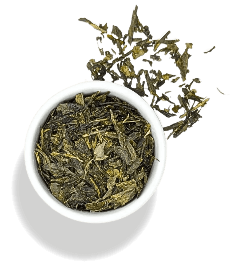 Sencha